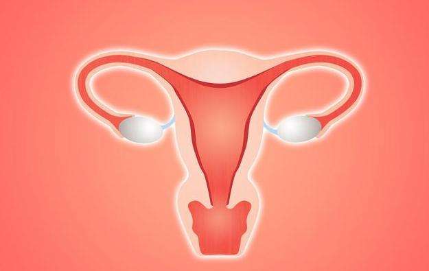 输卵管堵塞给女性带来哪些危害